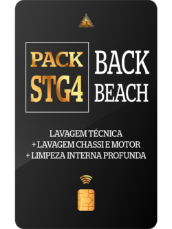 Combo Volta da Praia – Lavagen Técnica de Motor e Chassi – Limpeza Interna Profunda